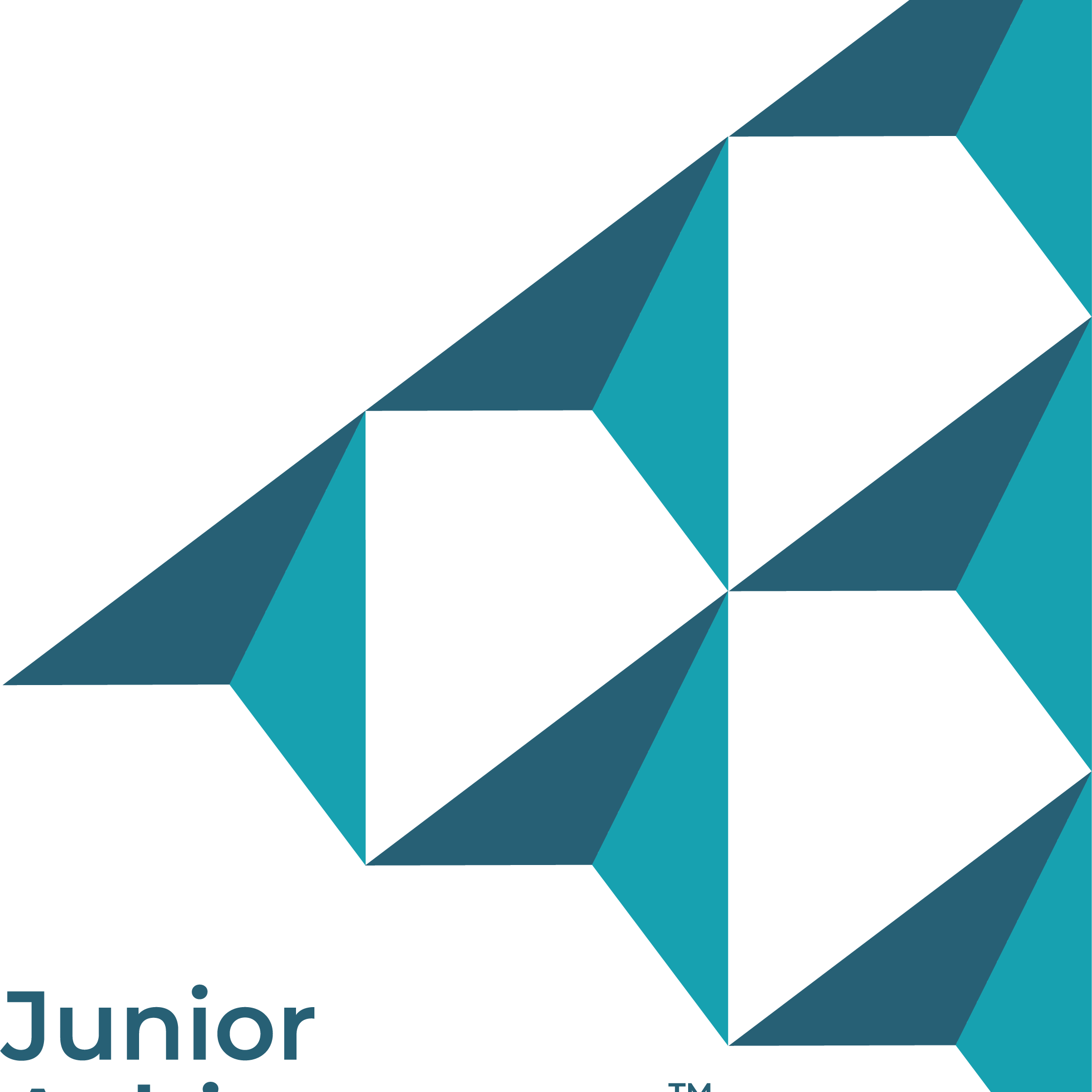 2026 JA Stock Market Challenge - logo